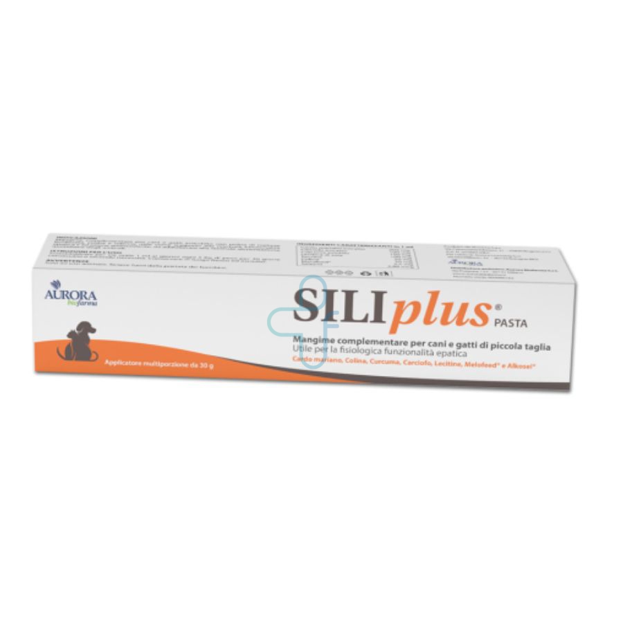 Aurora Biofarma Siliplus Pasta 30g